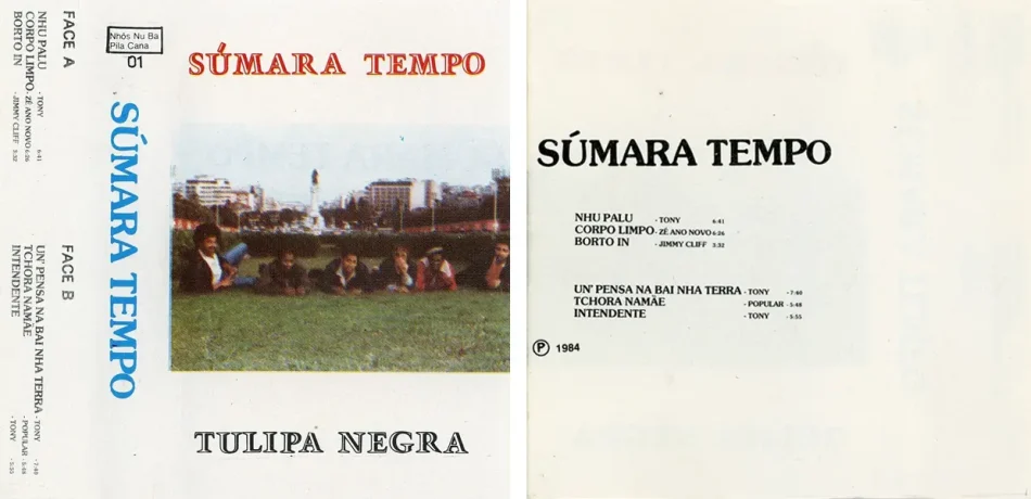Sumara-tempo-Tulipa-Negra-001